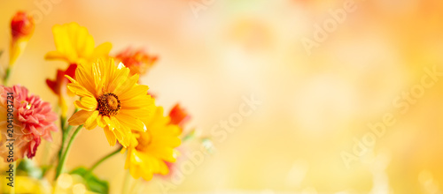 Принти на полотні Bright spring floral background with yellow and pink flowers, soft warm bokeh, shallow depth of field, and empty copy space