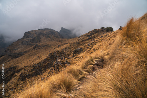 Golden grass landscape on Popocatépetl volcano in Mexico with misty mountains and cloudy sky during autumn perfect for hiking and adventure travel