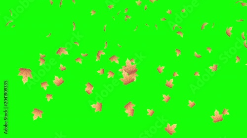 Falling autumn leaves animation. Autumn leaves fall animation. Autumn maple leaves falling on background. Autumn leaves. Motion nature scene