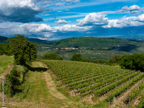 Italia, Toscana, Campagna Toscana vicino Firenze.