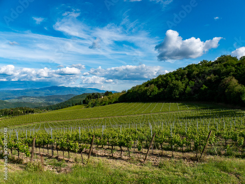 Italia, Toscana, Campagna Toscana vicino Firenze.