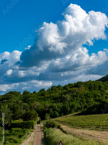 Italia, Toscana, Campagna Toscana vicino Firenze.