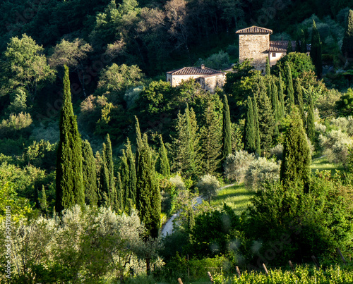 Italia, Toscana, Campagna Toscana vicino Firenze.