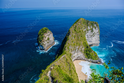 Slika na platnu Kelingking Beach and limestone headland on Nusa Penida