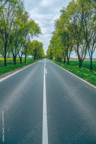 Straight rural asphalt road with tree avenue, peaceful landscape and travel concept with leading lines