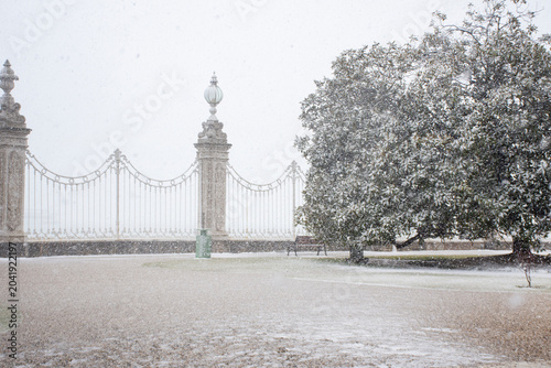 Canvas Print snowy in the park