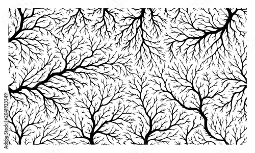 Photos Intricate bare tree branches pattern or neural network silhouette, organic textu