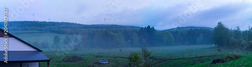 A panoramic view of horses in the night fall fog