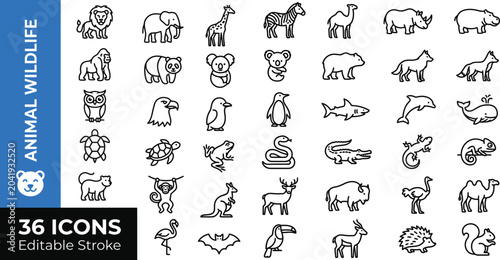 Photography Animal wildlife icons set