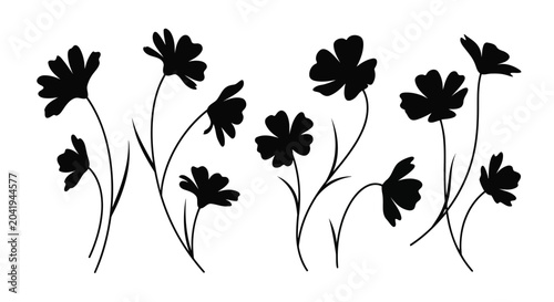 Black flowers silhouette on white