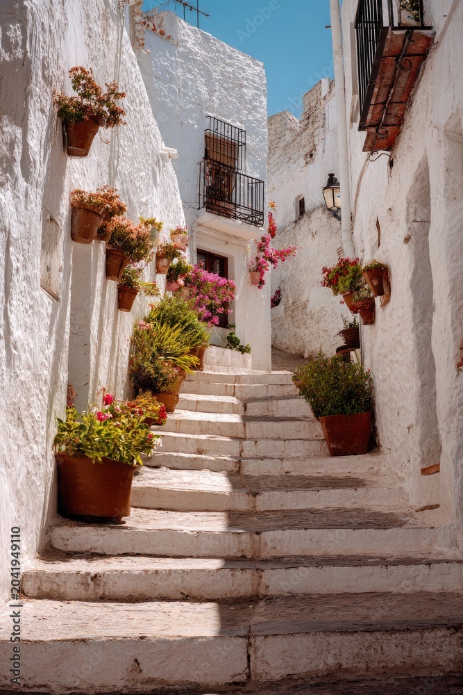 Fototapeta premium Sunlit cobblestone steps ascend a narrow white village alley, adorned with potted flowers