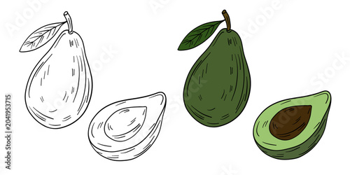 Hand-drawn illustration avocado in color and black white outline. Whole avocado, half avocado with seed, leaves, and natural organic textures. Green tones, outline kids coloring pages and educational 
