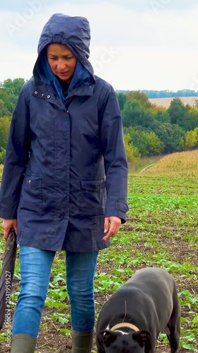 A woman walks her dog in a field after a thunderstorm. Girl with staffordshire terrier in nature on a cloudy day. The concept of freedom, happiness, friendship, nature. Vertical, vertical video.