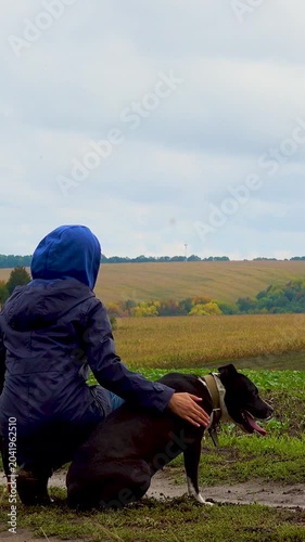 A woman walks her dog in a field after a thunderstorm. Girl with staffordshire terrier in nature on a cloudy day. The concept of freedom, happiness, friendship, nature. Vertical, vertical video.