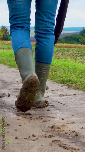 A woman walks her dog in a field after a thunderstorm. Girl with staffordshire terrier in nature on a cloudy day. The concept of freedom, happiness, friendship, nature. Vertical, vertical video.