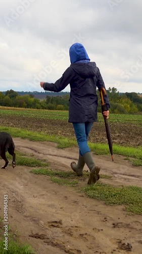 A woman walks her dog in a field after a thunderstorm. Girl with staffordshire terrier in nature on a cloudy day. The concept of freedom, happiness, friendship, nature. Vertical, vertical video.