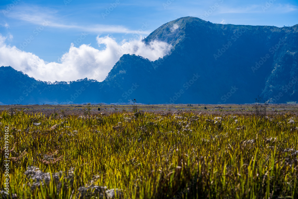 Fototapeta premium Grassy plain with mountains in Bromo Tengger Semeru National Park