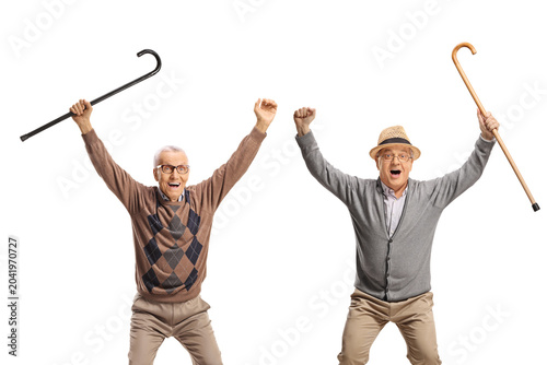Quadro em tela Overjoyed elderly men cheering with hands up