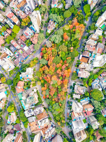 Aerial View of Praça Gustavo Langsch During Autumn in Porto Alegre