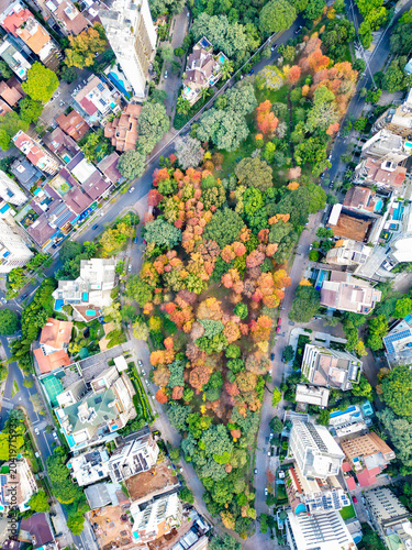 Aerial View of Praça Gustavo Langsch During Autumn in Porto Alegre