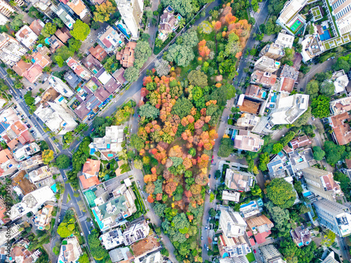 Aerial View of Praça Gustavo Langsch During Autumn in Porto Alegre