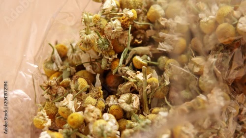 Medicinal dried matricaria chamomilla heads in clear packaging falling on a table. Naturopathy herbs. Chamomile blossoms
