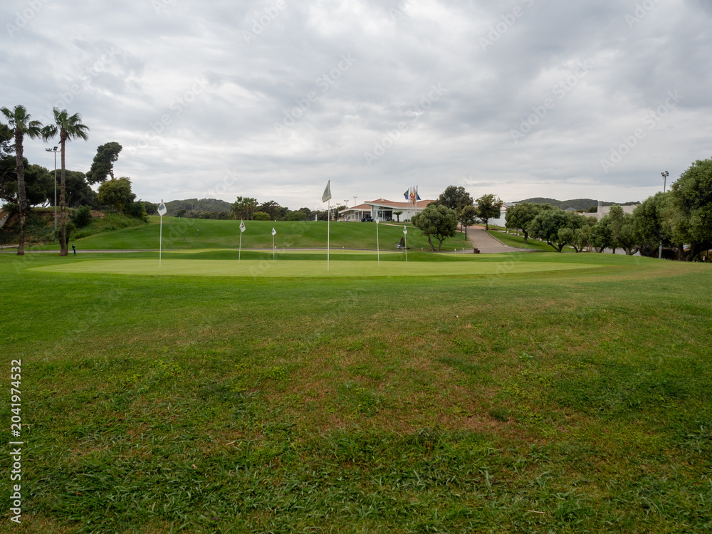 Obraz premium Scenic golf course landscape with palm trees and sand path