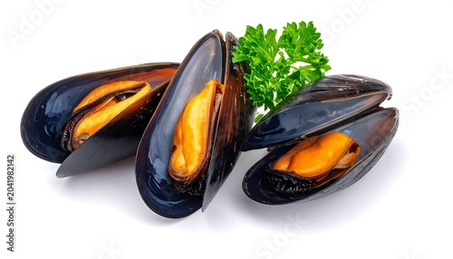 Fresh Open Mussel Shellfish Arranged with Parsley on White Background