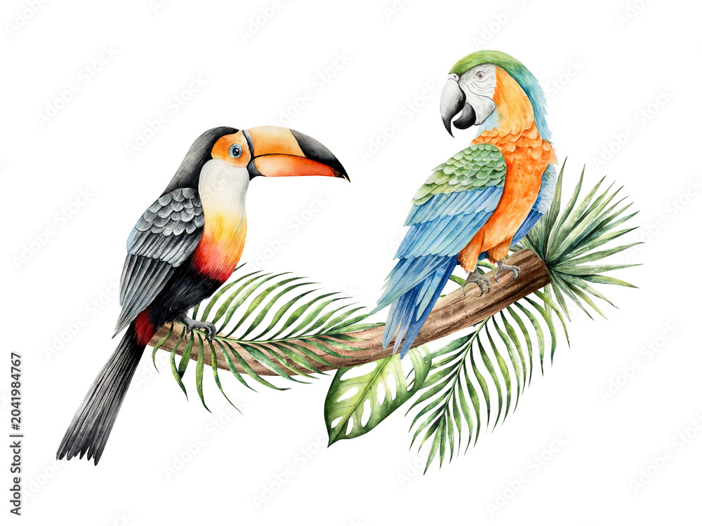 Fototapeta premium Toco toucan and parrot macaw sitting on a branch, leaves of a palm tree, monstera. Watercolor hand drawn bird, isolated illustration on transparent background. Perfect for tropical design projects