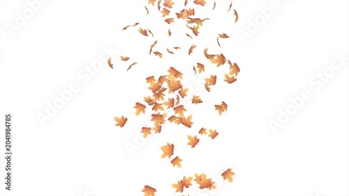 Falling autumn leaves animation. Autumn leaves fall animation. Autumn maple leaves falling on background. Autumn leaves. Motion nature scene