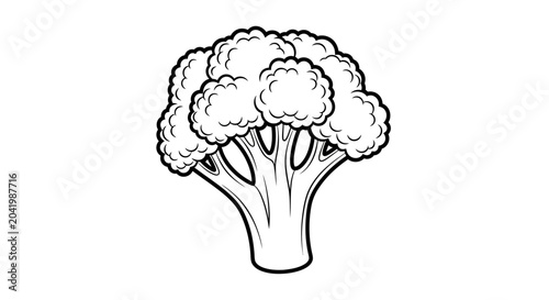Black and White Broccoli Vegetable Line Art Illustration