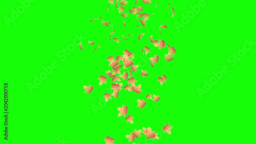 Falling autumn leaves animation. Autumn leaves fall animation. Autumn maple leaves falling on background. Autumn leaves. Motion nature scene