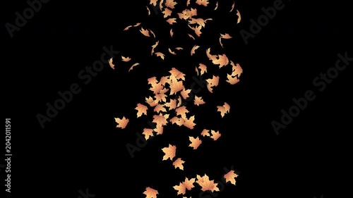 Falling autumn leaves animation. Autumn leaves fall animation. Autumn maple leaves falling on background. Autumn leaves. Motion nature scene. Transparent background with alpha channel