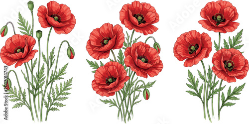 Foto Red Poppy Flower Vector Set Featuring Beautiful Botanical Bouquets Buds and Gree