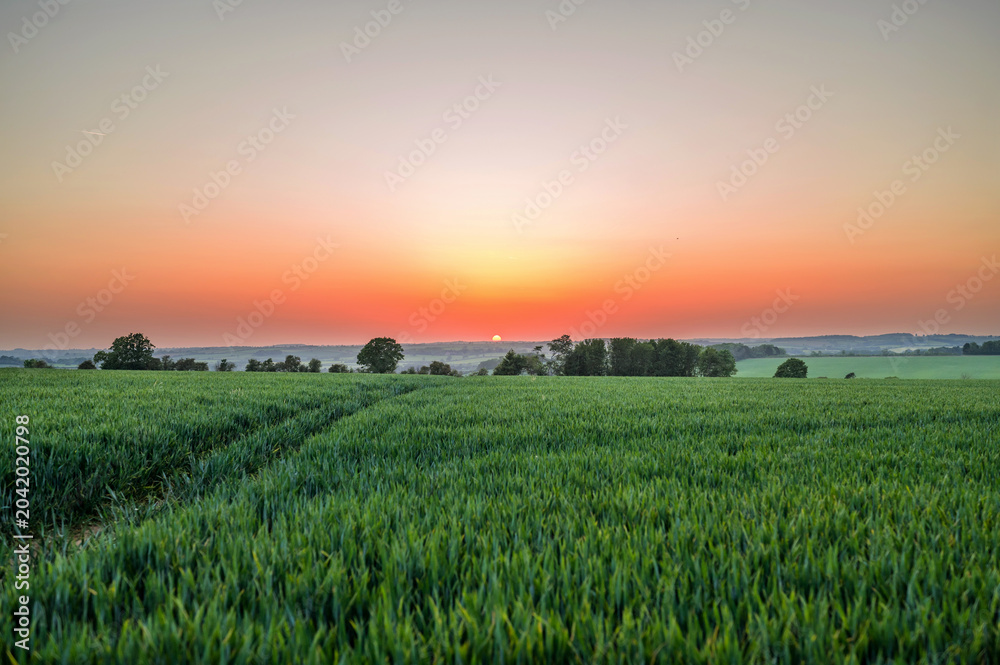 Fototapeta premium Sunrise over agricultural field in rural England