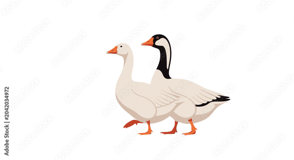 Obraz premium Two geese walking side by side on a clean white background vector style