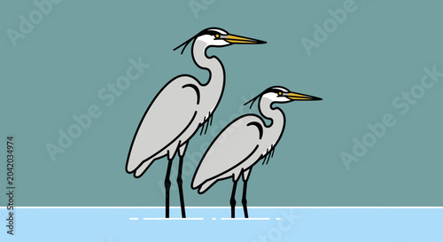 Two cartoon herons standing in water against a teal background
