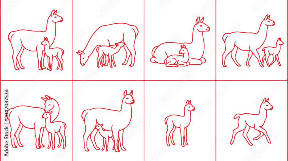 Fototapeta premium Alpaca llama family groups standing resting nursing mother and baby animals icons on transparent background.