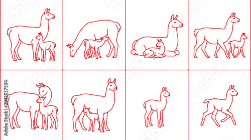 Foto Alpaca llama family groups standing resting nursing mother and baby animals icons on transparent background