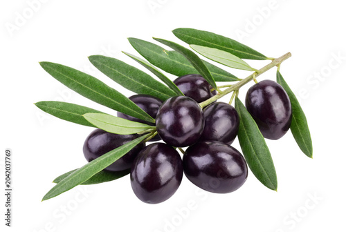 Photos Branch of black olives, isolated on transparent background
