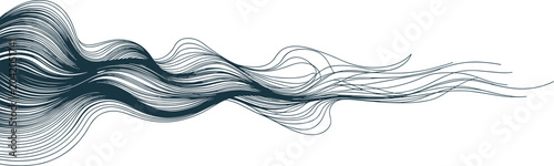 Tableau sur toile Sophisticated dark blue organic lines flowing like silky hair or smoke drifting across a stark minimalist white background