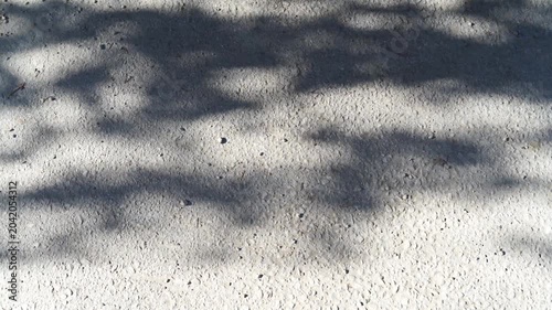 Gray asphalt surface with a leaf and foliage shadows moving in the wind on a sunny day