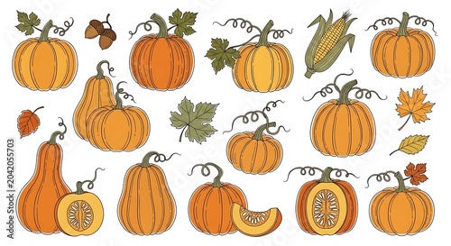 Hand Drawn Autumn Pumpkin and Harvest Vegetable Collection on White Background