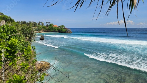 Schilderij op canvas Beautiful tropical bay with turquoise water and rolling waves framed by palm lea