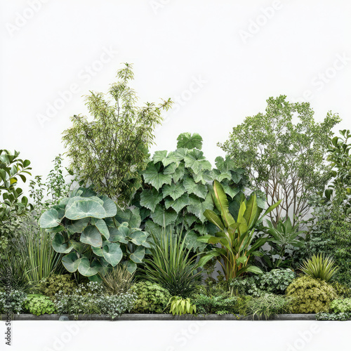 Green plants with lush foliage create vibrant garden wall
