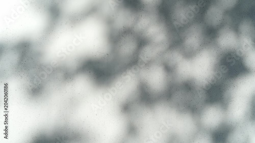 Gray-blue wall background with a shadow of foliage and leaves moving in the wind