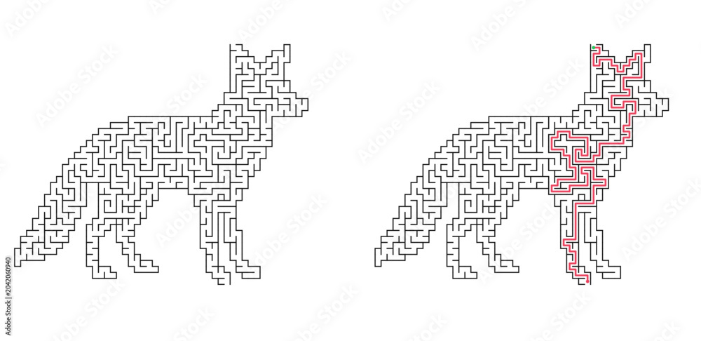 Fototapeta premium Sly fox silhouette labyrinth with answer. Wild animal shaped maze, black and white flat vector puzzle illustration