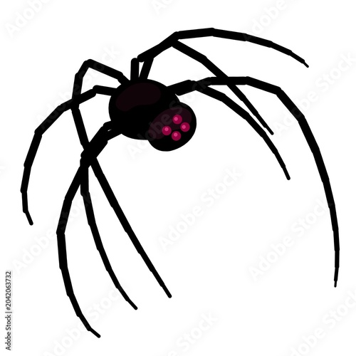 Creepy Black Spider Illustration