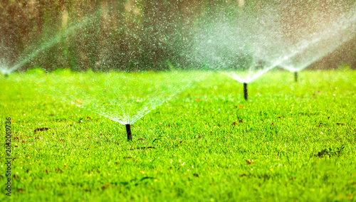 Fotografie Automatic lawn sprinkler watering green grass