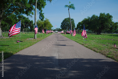 Fotografia American Flags Lining A Cemetery Lawn At Veterans Memorial With Grave Markers And Green Trees remembrance, honor, and patriotism during a veterans memorial observance beneath leafy trees and blue sky